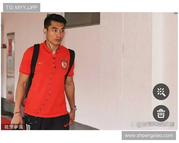 郑智效力过的德甲球队故事回顾