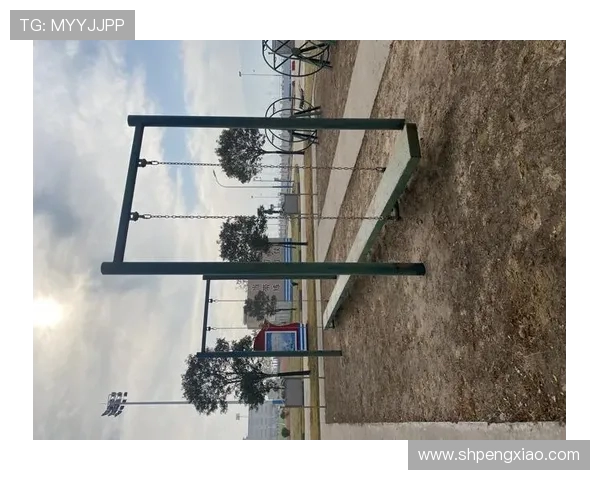 高强度部队体能训练器材选购指南与实战测评