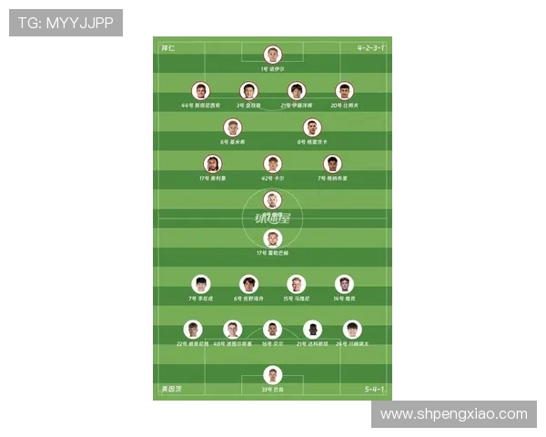 2025赛季德甲目前参赛球队全览及新变化