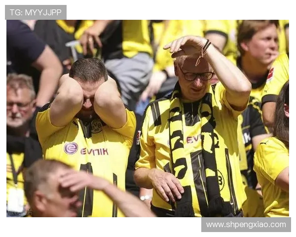 多特警方就与拜仁球迷冲突事件发表声明强调自我认知偏差问题